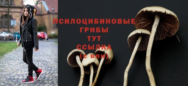 дмт Заводоуковск
