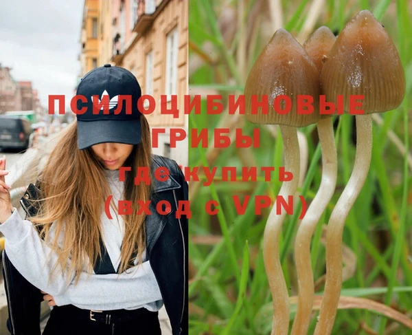 дмт Заводоуковск