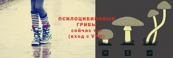 прущая мука Заволжск