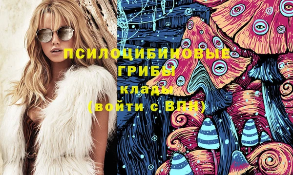 герыч Зерноград
