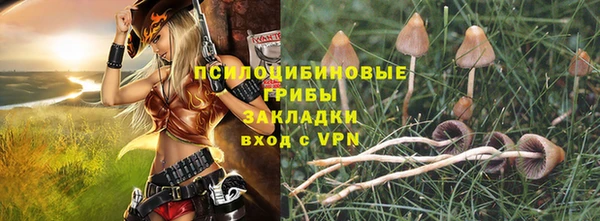 apvp Зеленодольск