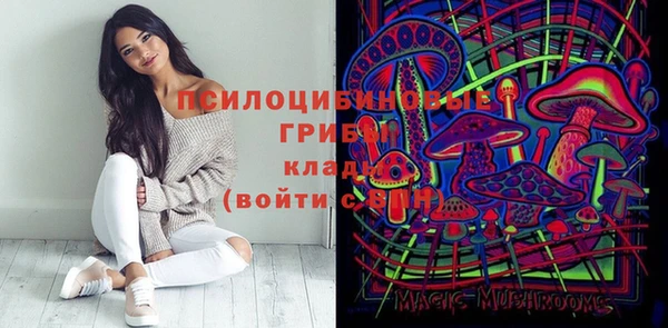 сатива Заволжье