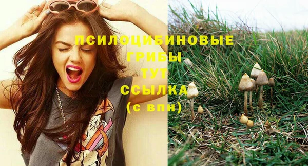 мескалин Ветлуга