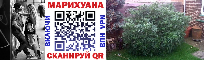 Бошки Шишки марихуана  Ивантеевка 